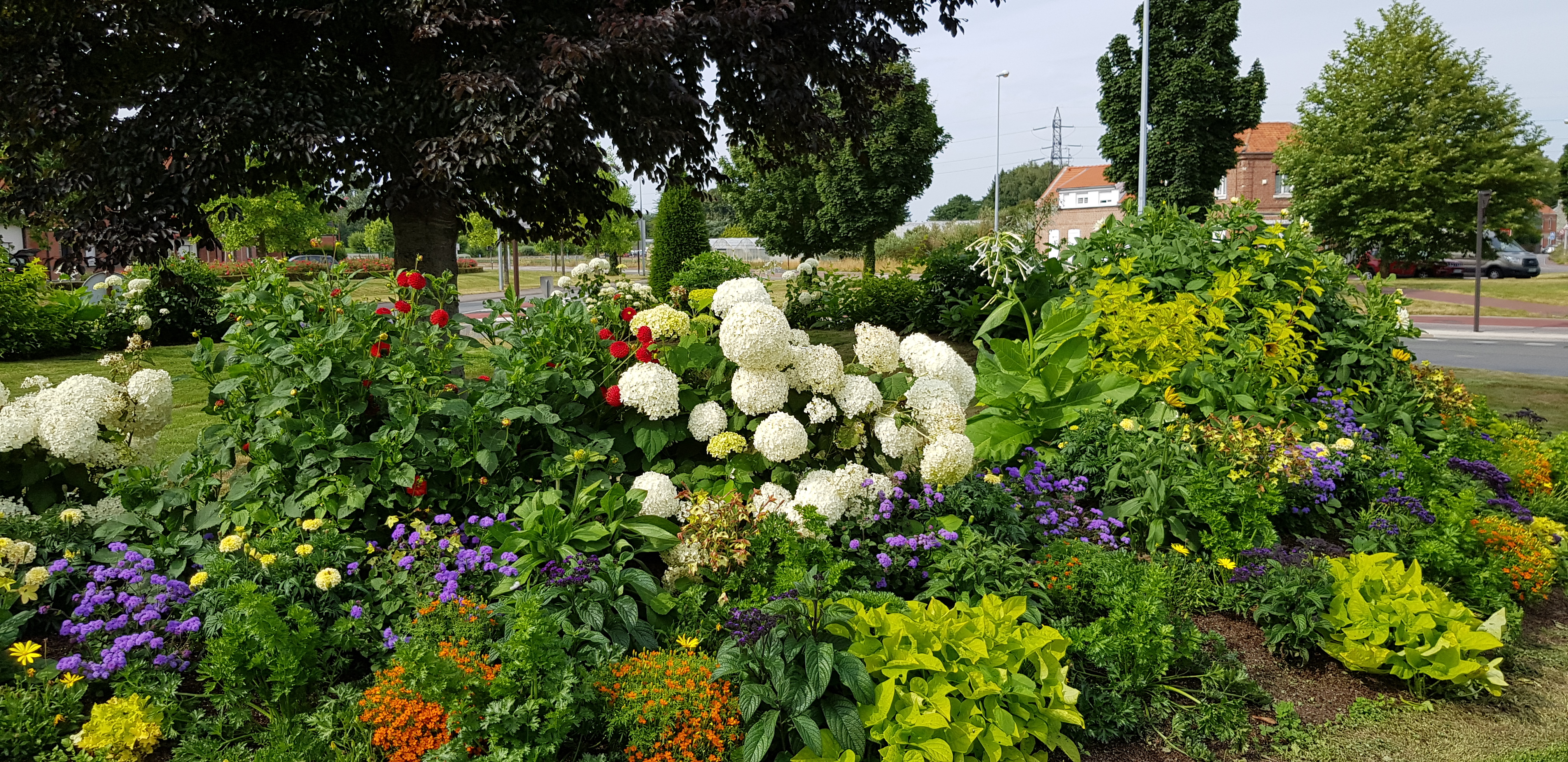 Douai, ville fleurie