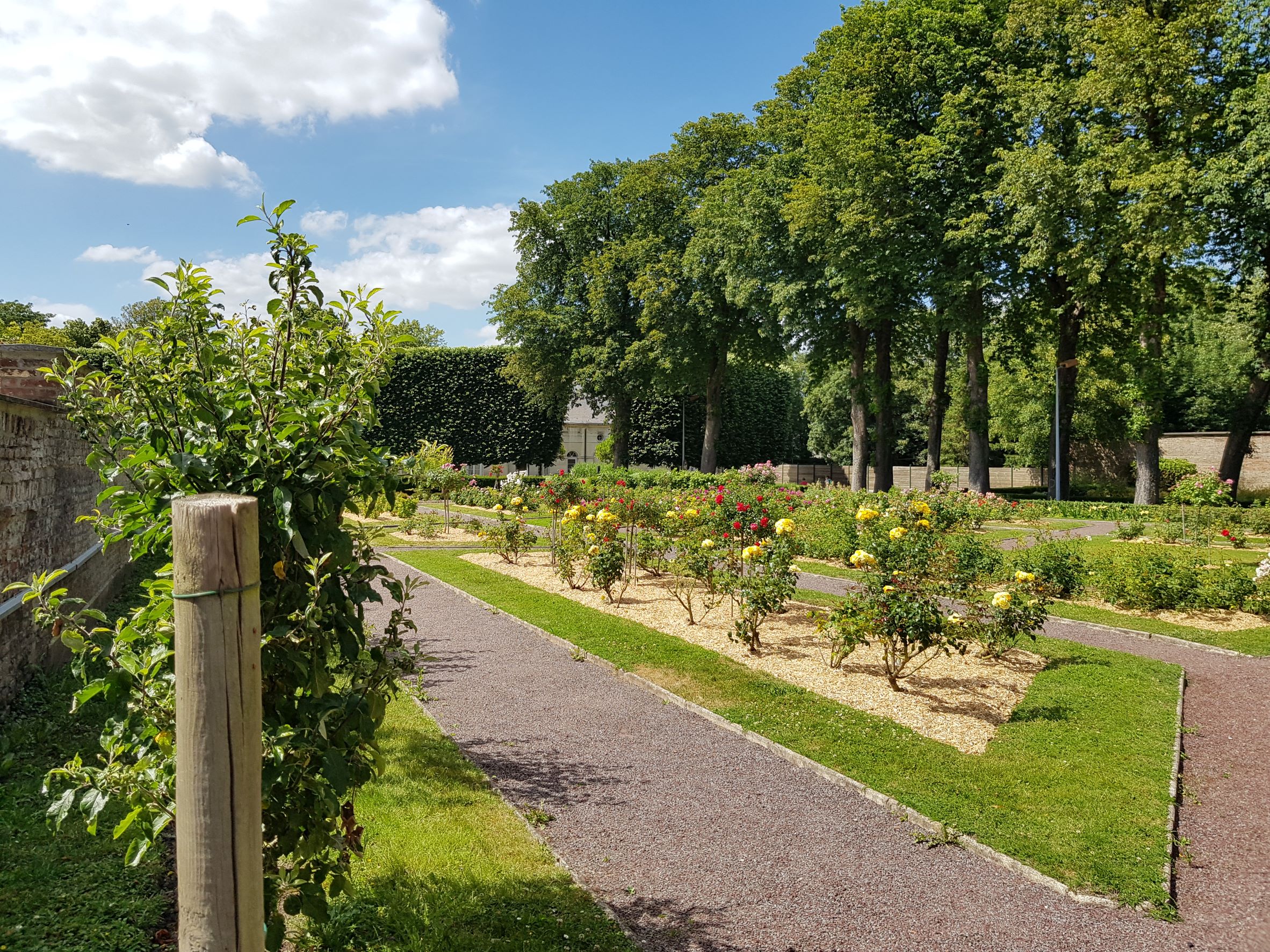 Jardin des Plantes