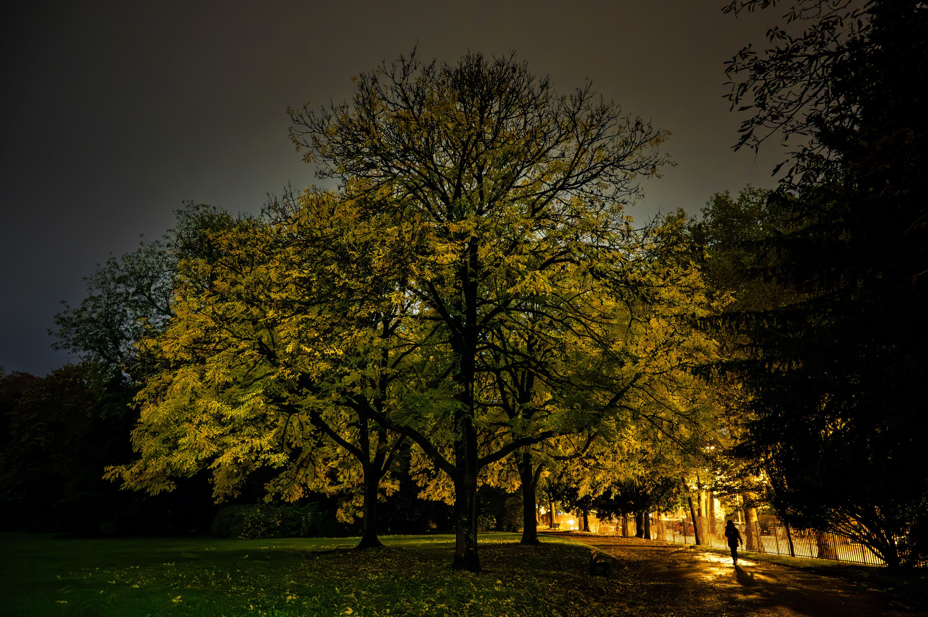 Photo : Luigi De Sario, Parc Charles Bertin