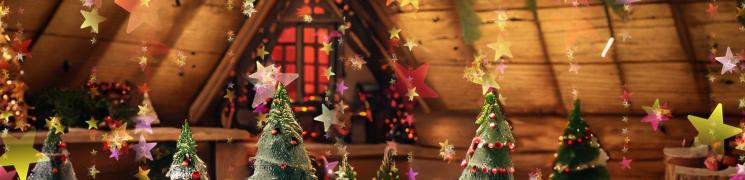 Marché de Noël Du 5 au 12 déc 2023